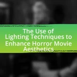 The Use of Lighting Techniques to Enhance Horror Movie Aesthetics